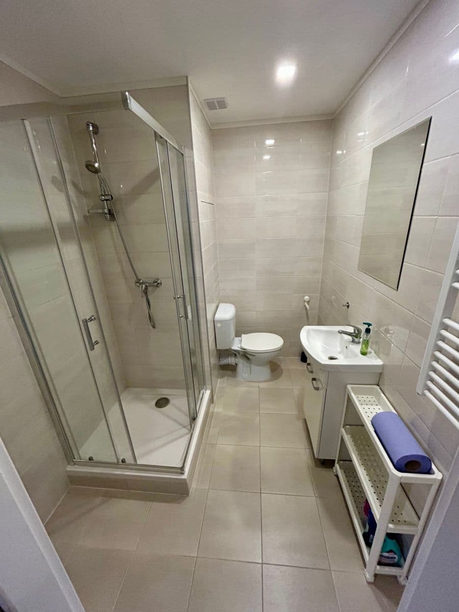 Pronájem bytu 1+kk 27 m², Křižíkova, Ostrava, Moravskoslezský kraj Pronájem bytu 1+kk 27 m², Křižíkova, Ostrava, Moravskoslezský kraj