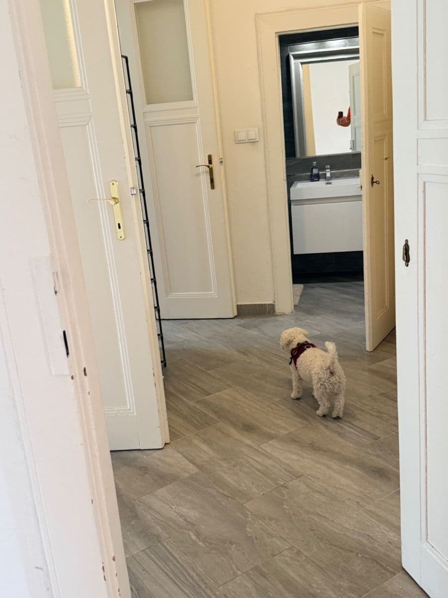Pronájem bytu 3+kk 75 m², Malířská, Praha, Praha Pronájem bytu 3+kk 75 m², Malířská, Praha, Praha