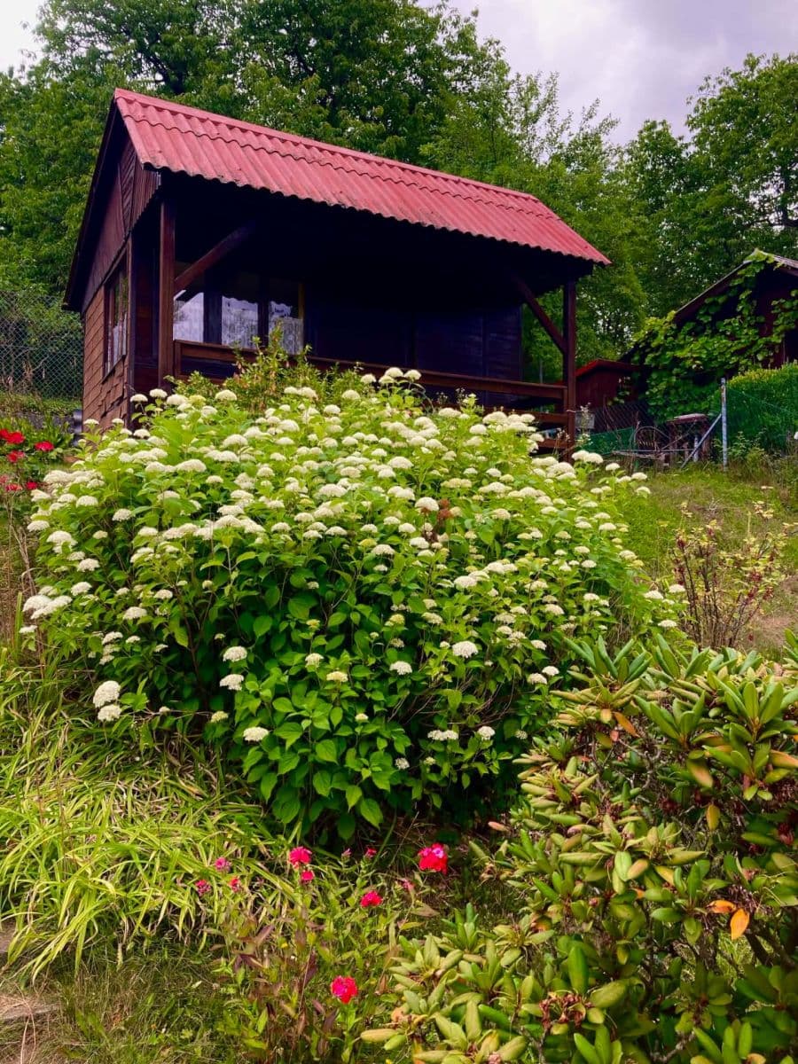Prodej chaty, chalupy 16 m², pozemek 382 m², Votice, Středočeský kraj Prodej chaty, chalupy 16 m², pozemek 382 m², Votice, Středočeský kraj