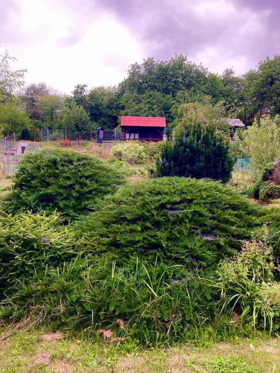 Prodej chaty, chalupy 16 m², pozemek 382 m², Votice, Středočeský kraj Prodej chaty, chalupy 16 m², pozemek 382 m², Votice, Středočeský kraj