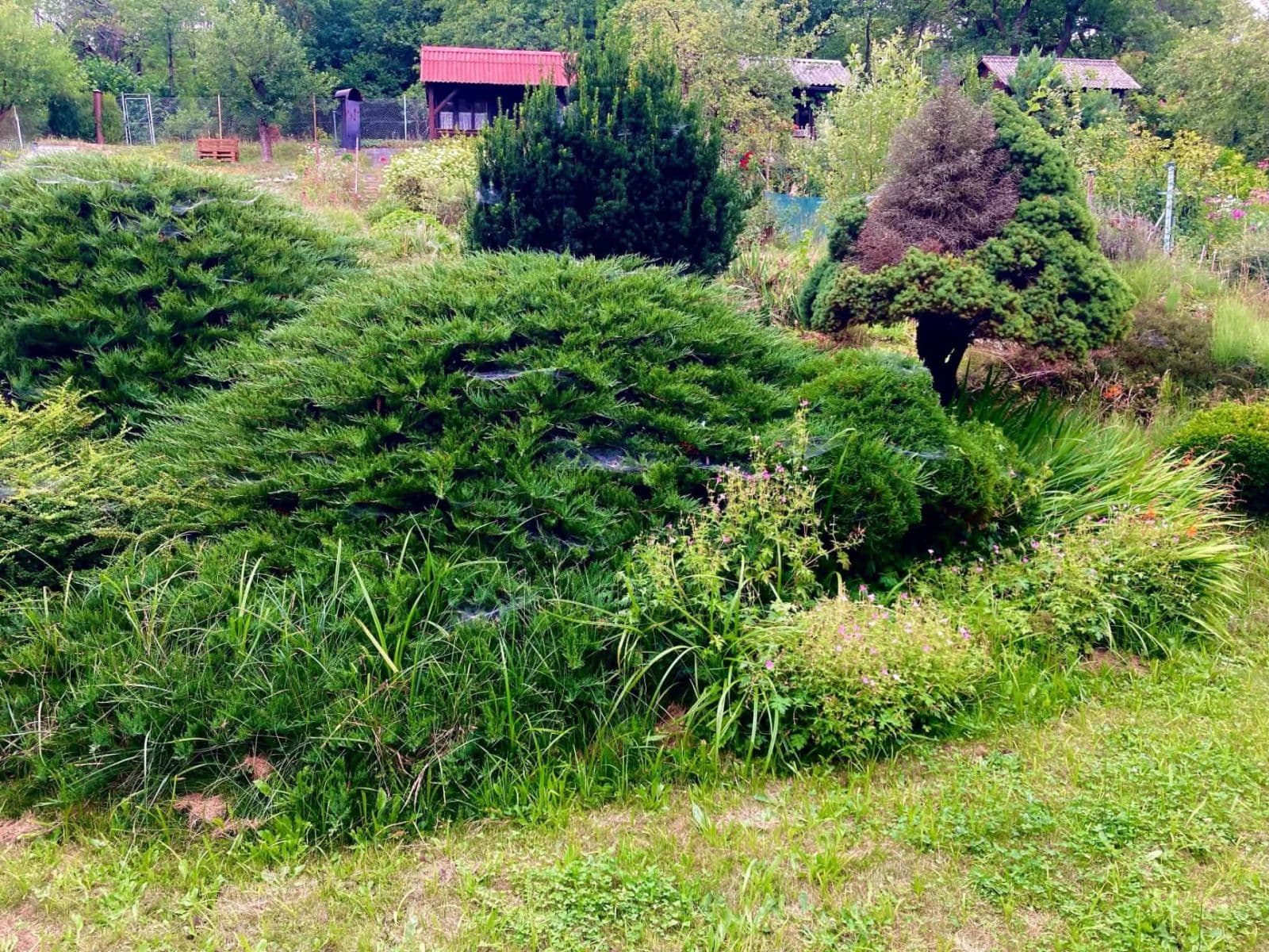 Prodej chaty, chalupy 16 m², pozemek 382 m², Votice, Středočeský kraj Prodej chaty, chalupy 16 m², pozemek 382 m², Votice, Středočeský kraj