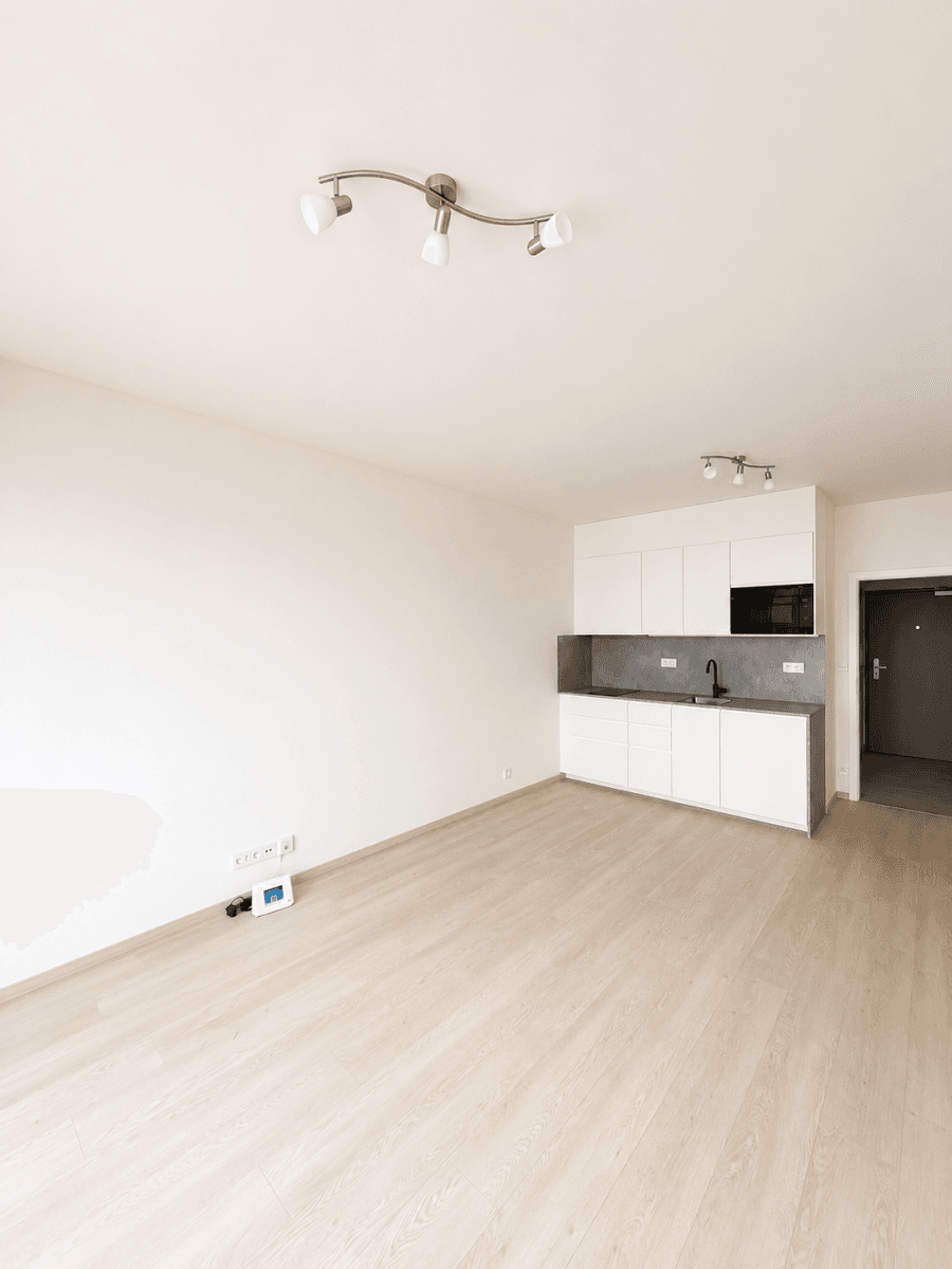 Pronájem bytu 1+kk 34 m², Gerstelova, Praha, Praha Pronájem bytu 1+kk 34 m², Gerstelova, Praha, Praha