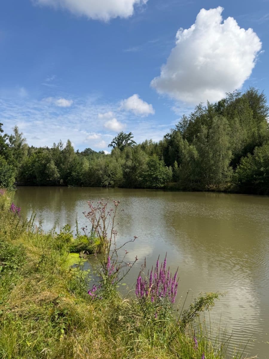 Prodej chaty, chalupy 30 m², pozemek 1.000 m², 33333, Zásmuky, Středočeský kraj Prodej chaty, chalupy 30 m², pozemek 1.000 m², 33333, Zásmuky, Středočeský kraj