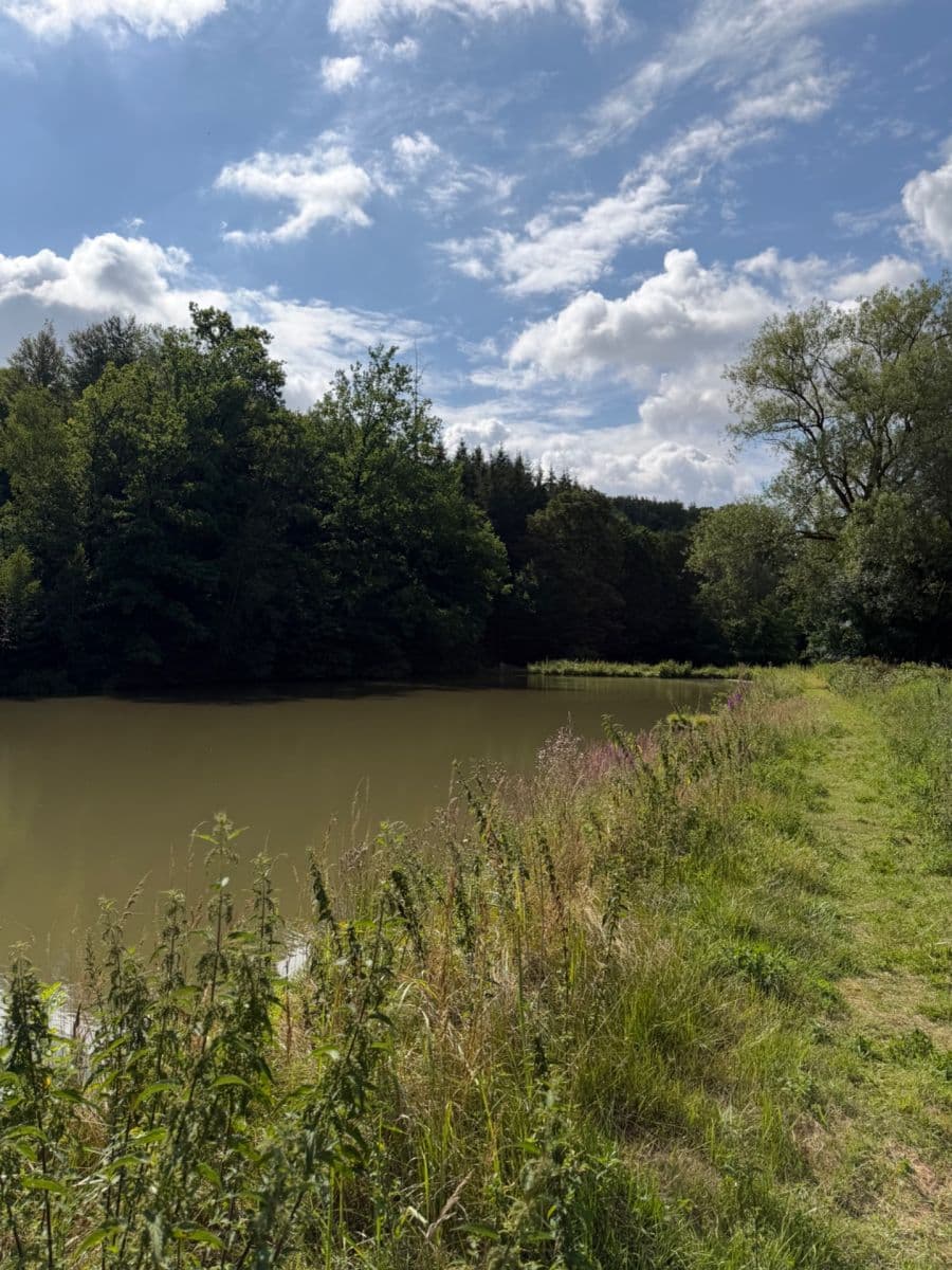 Prodej chaty, chalupy 30 m², pozemek 1.000 m², 33333, Zásmuky, Středočeský kraj Prodej chaty, chalupy 30 m², pozemek 1.000 m², 33333, Zásmuky, Středočeský kraj