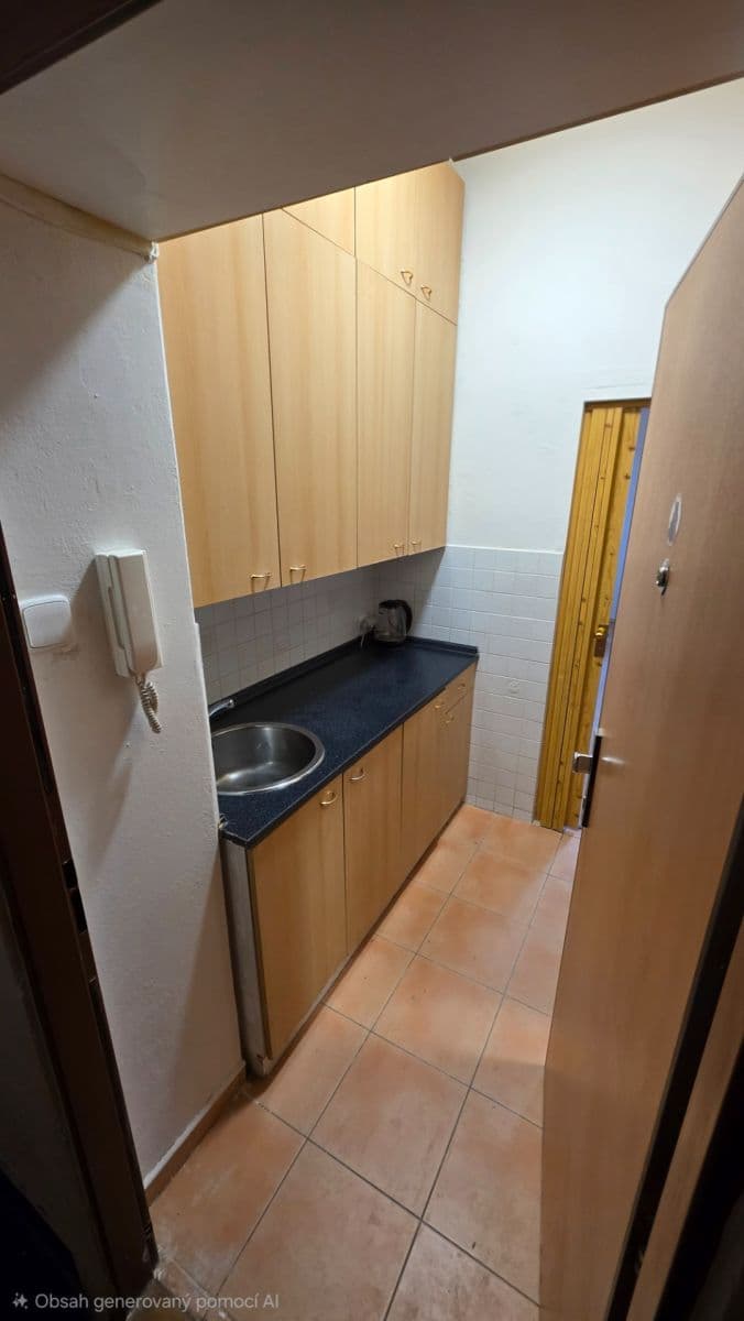 Pronájem bytu 1+kk 24 m², Křížová, Praha, Praha Pronájem bytu 1+kk 24 m², Křížová, Praha, Praha