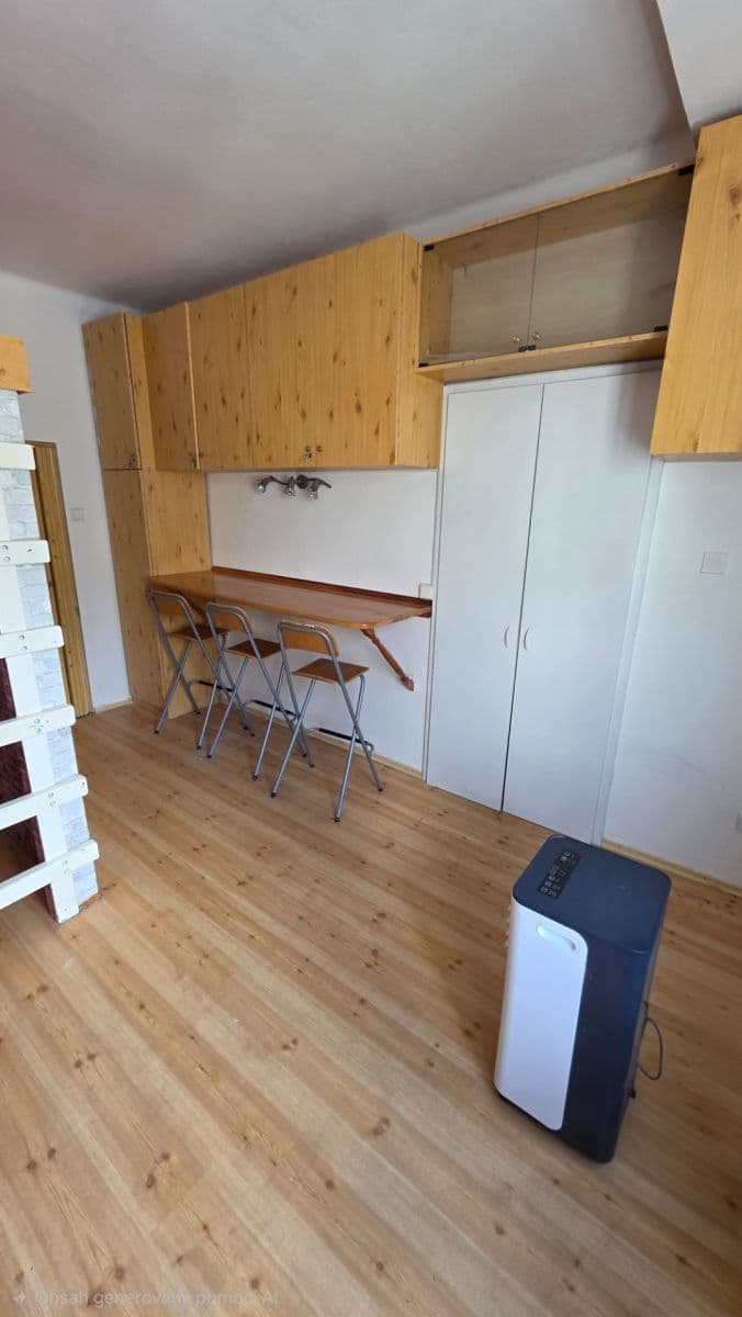 Pronájem bytu 1+kk 24 m², Křížová, Praha, Praha Pronájem bytu 1+kk 24 m², Křížová, Praha, Praha