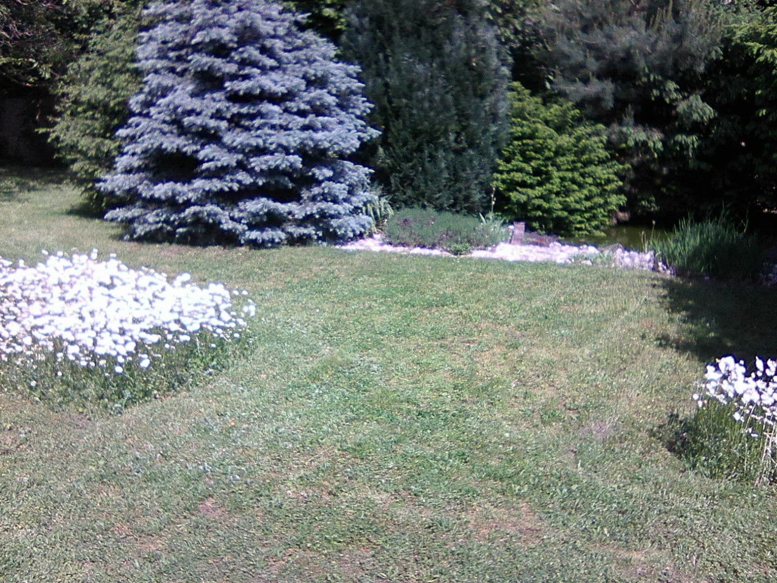 Prodej domu 240 m², pozemek 2.834 m², Březenská, Sobotka, Královéhradecký kraj Prodej domu 240 m², pozemek 2.834 m², Březenská, Sobotka, Královéhradecký kraj