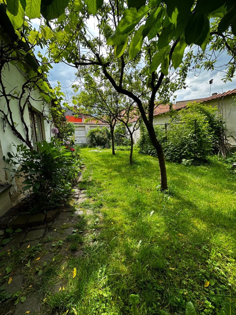 Pronájem bytu 2+1 72 m², Zemská, Teplice, Ústecký kraj Pronájem bytu 2+1 72 m², Zemská, Teplice, Ústecký kraj