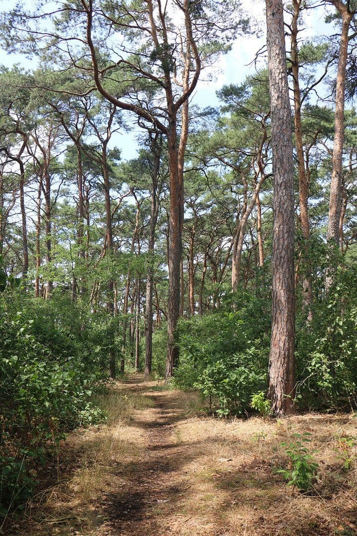 Prodej domu 97 m², pozemek 68 m², Brandenburg, Braniborsko Prodej domu 97 m², pozemek 68 m², Brandenburg, Braniborsko
