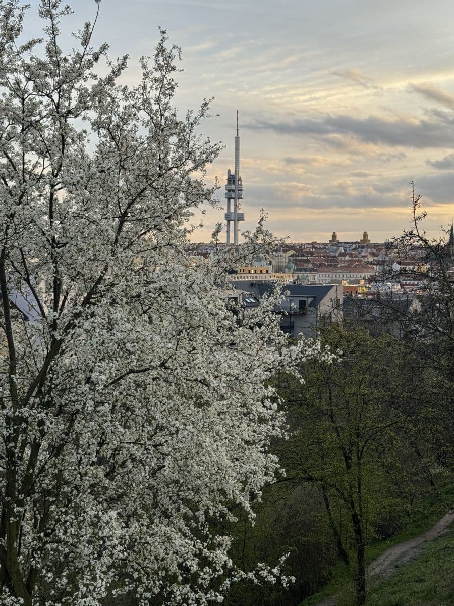 Pronájem bytu 39 m², Tachovske namesti, Praha, Praha Pronájem bytu 39 m², Tachovske namesti, Praha, Praha