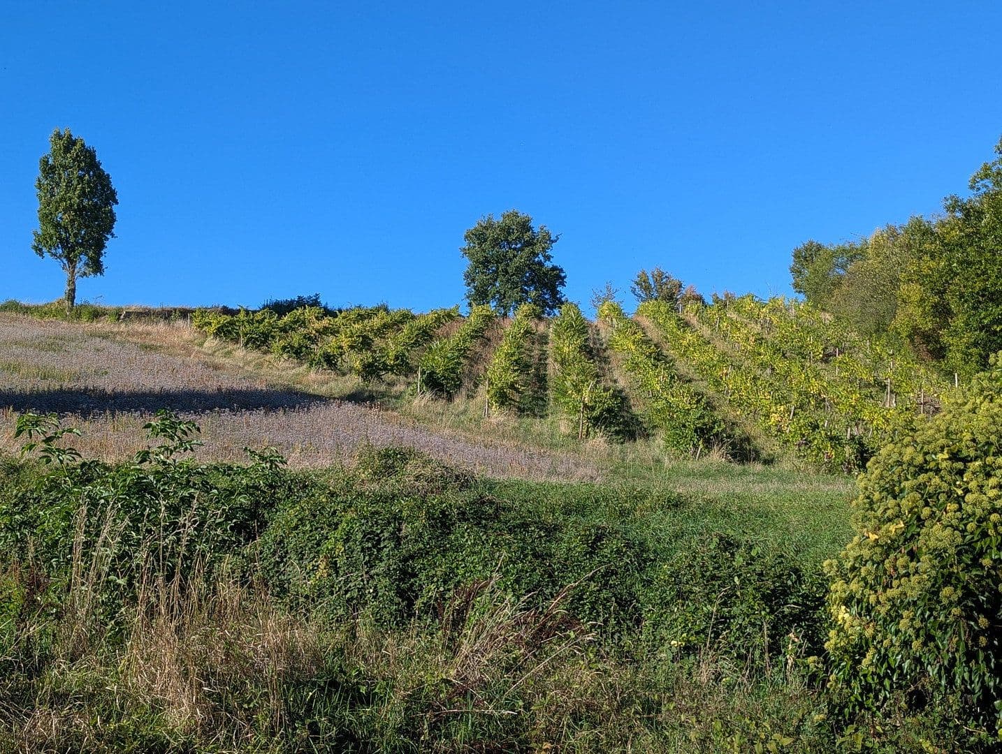 Prodej domu 180 m², pozemek 530 m², Bad Kreuznach, Porýní-Falc Prodej domu 180 m², pozemek 530 m², Bad Kreuznach, Porýní-Falc