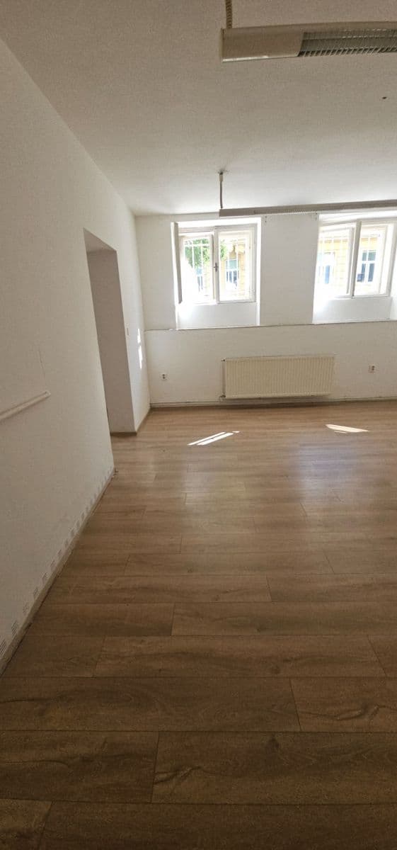 Pronájem bytu 2+1 60 m², třída Spojenců, Opava, Moravskoslezský kraj Pronájem bytu 2+1 60 m², třída Spojenců, Opava, Moravskoslezský kraj