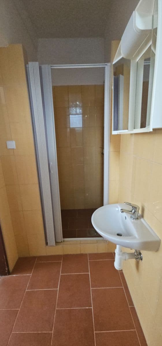 Pronájem bytu 2+1 60 m², třída Spojenců, Opava, Moravskoslezský kraj Pronájem bytu 2+1 60 m², třída Spojenců, Opava, Moravskoslezský kraj