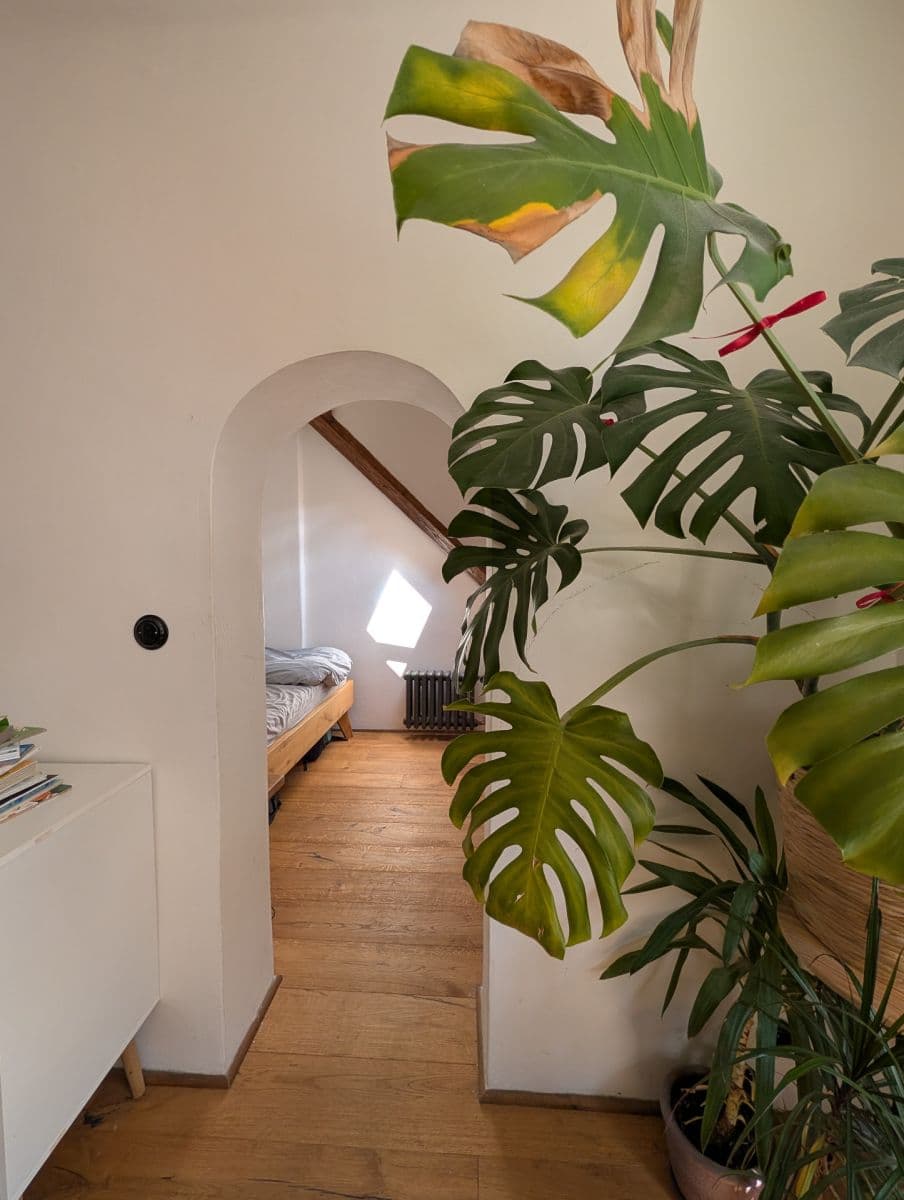Pronájem bytu 2+kk 44 m², 8. listopadu, Praha, Praha Pronájem bytu 2+kk 44 m², 8. listopadu, Praha, Praha