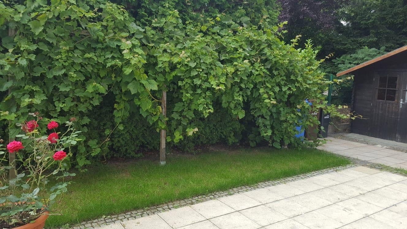 Pronájem domu 244 m², pozemek 384 m², Leverkusen, Severní Porýní-Vestfálsko Pronájem domu 244 m², pozemek 384 m², Leverkusen, Severní Porýní-Vestfálsko
