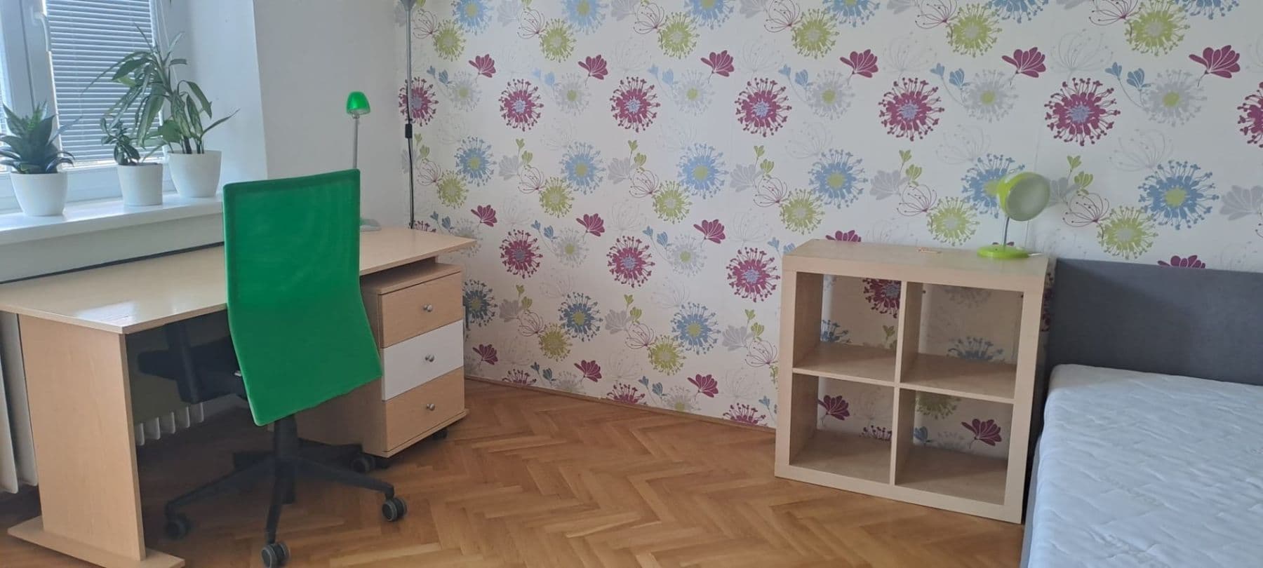 Pronájem bytu 3+1 90 m², Klusáčkova, Brno, Jihomoravský kraj Pronájem bytu 3+1 90 m², Klusáčkova, Brno, Jihomoravský kraj