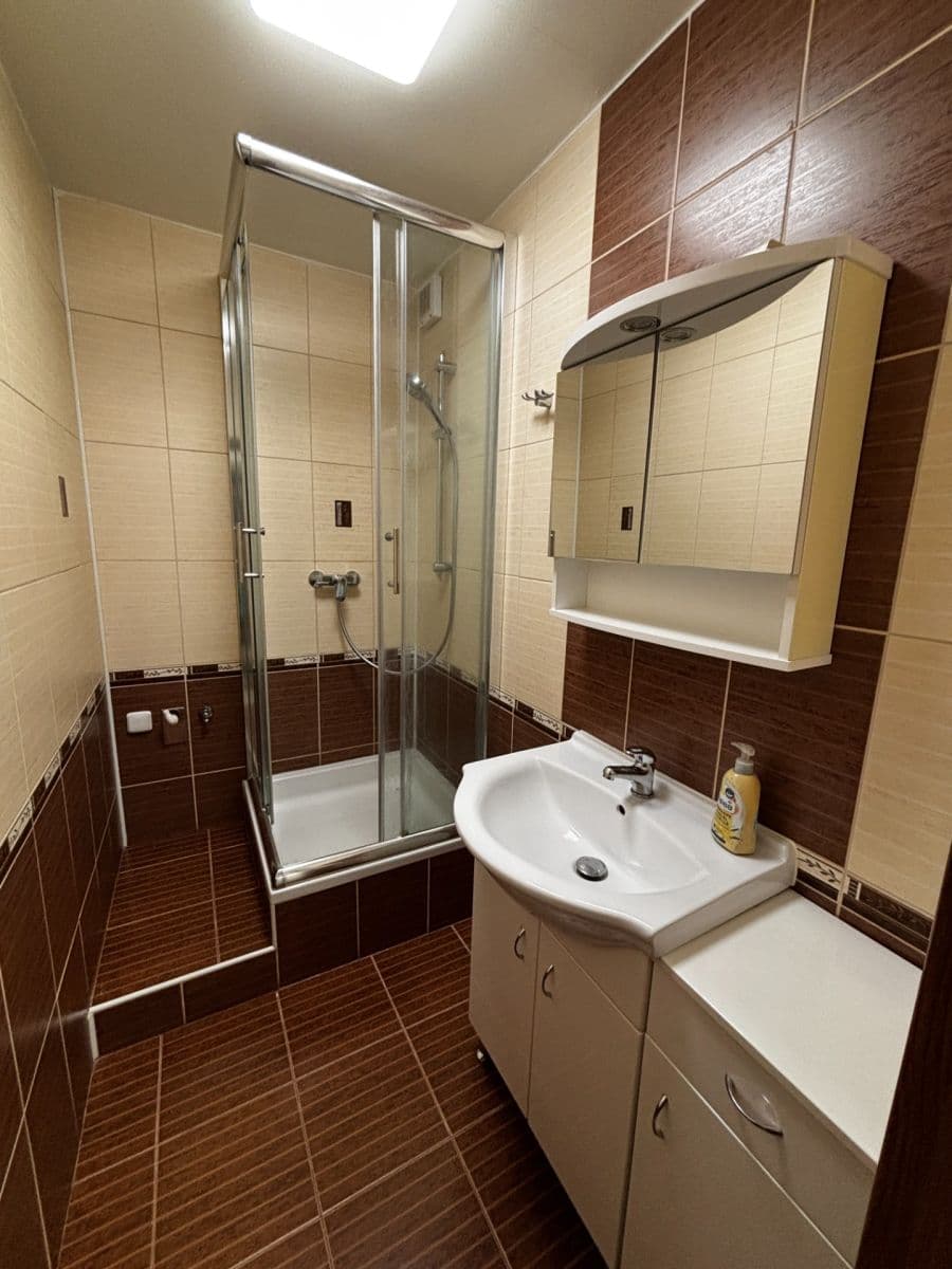 Pronájem bytu 1+kk 31 m², Bořetická, Brno, Jihomoravský kraj Pronájem bytu 1+kk 31 m², Bořetická, Brno, Jihomoravský kraj