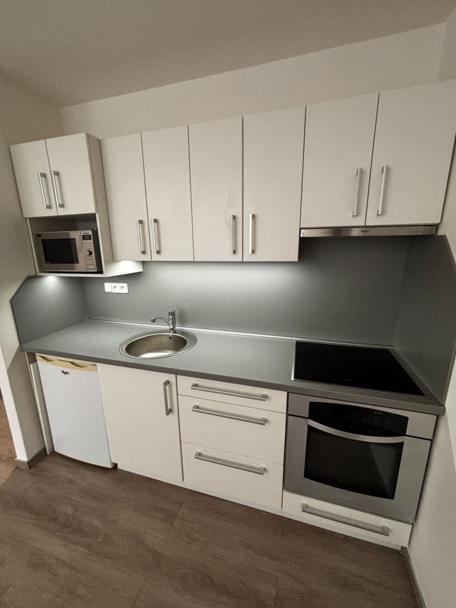 Pronájem bytu 1+kk 31 m², Bořetická, Brno, Jihomoravský kraj Pronájem bytu 1+kk 31 m², Bořetická, Brno, Jihomoravský kraj
