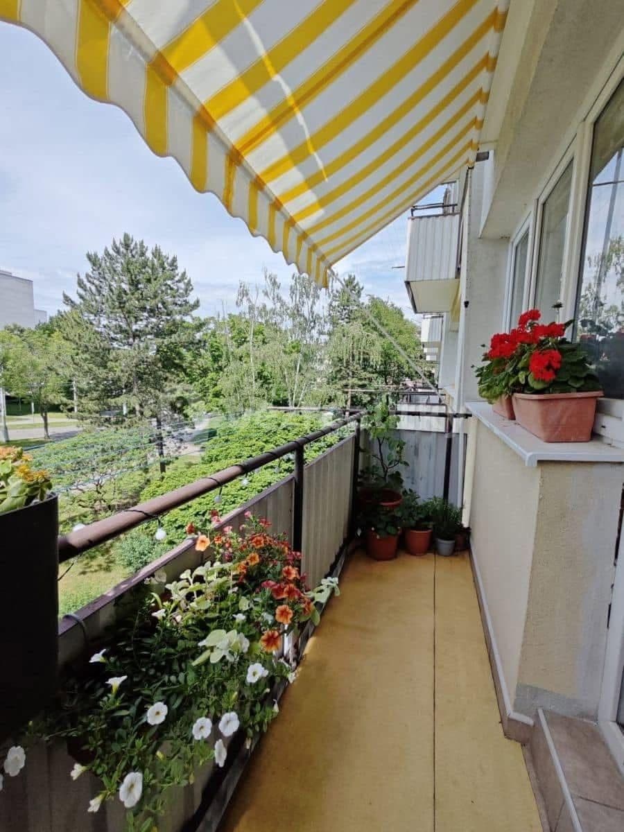 Pronájem bytu 3+kk 54 m², Gagarinova, Hradec Králové, Královéhradecký kraj Pronájem bytu 3+kk 54 m², Gagarinova, Hradec Králové, Královéhradecký kraj