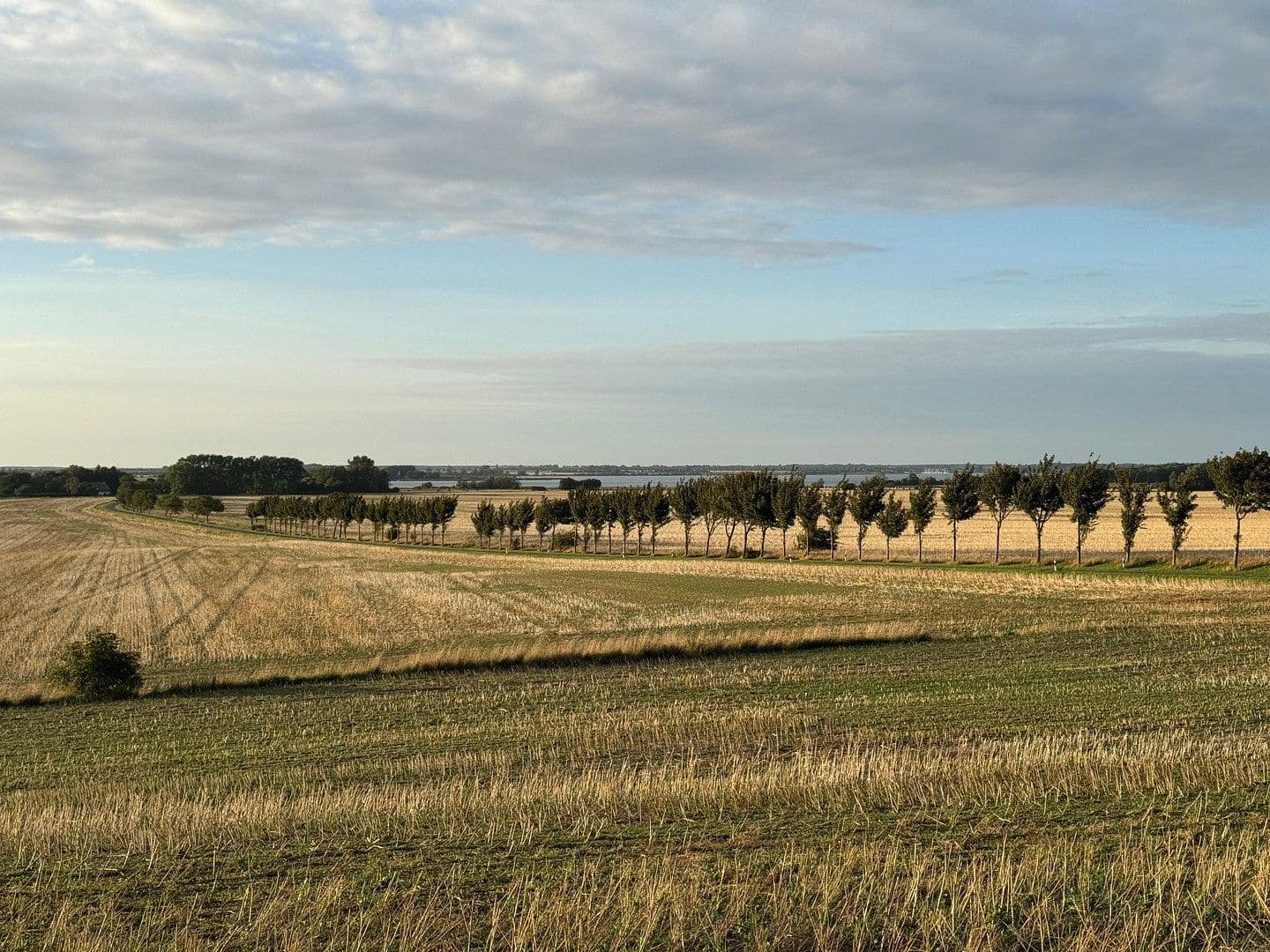 Prodej domu 86 m², pozemek 2.789 m², Neuenkirchen, Mecklenburg-Vorpommern Prodej domu 86 m², pozemek 2.789 m², Neuenkirchen, Mecklenburg-Vorpommern