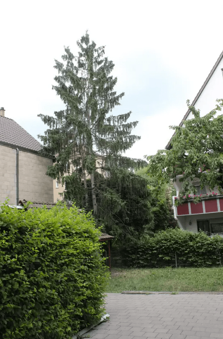 Pronájem bytu 3+1 66 m², Halbergstr. 18, Esslingen am Neckar, Bádensko-Württembersko Pronájem bytu 3+1 66 m², Halbergstr. 18, Esslingen am Neckar, Bádensko-Württembersko