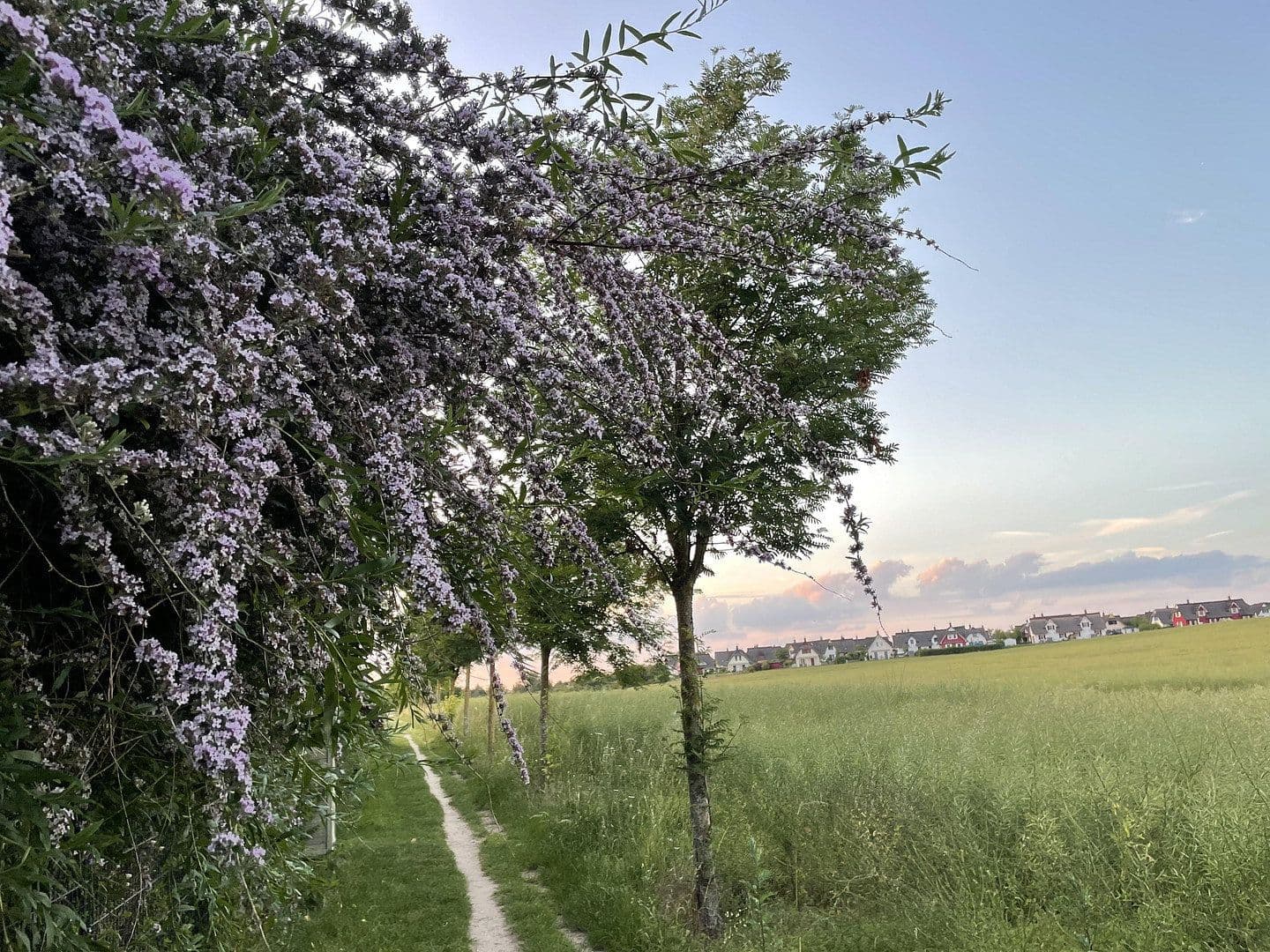 Prodej bytu 3+1 84 m², Eulenseekoppel 12, Zierow, Mecklenburg-Vorpommern Prodej bytu 3+1 84 m², Eulenseekoppel 12, Zierow, Mecklenburg-Vorpommern