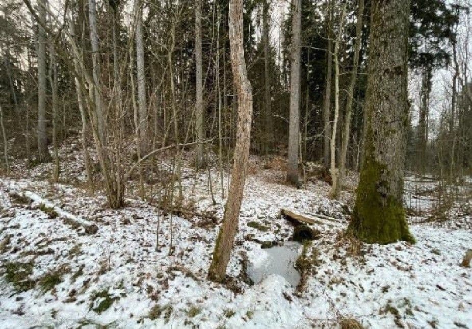 Prodej pozemku 2.124 m², Smrček, Pardubický kraj Prodej pozemku 2.124 m², Smrček, Pardubický kraj