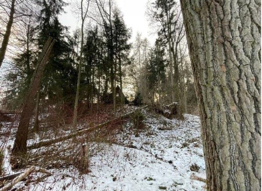 Prodej pozemku 2.124 m², Smrček, Pardubický kraj Prodej pozemku 2.124 m², Smrček, Pardubický kraj