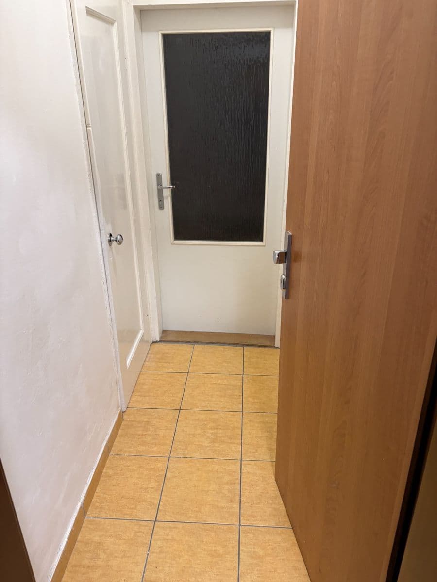 Pronájem bytu 2+kk 42 m², Purkyňova, Brno, Jihomoravský kraj Pronájem bytu 2+kk 42 m², Purkyňova, Brno, Jihomoravský kraj