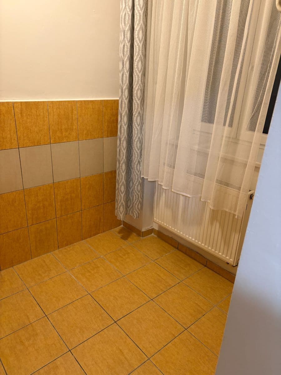 Pronájem bytu 2+kk 42 m², Purkyňova, Brno, Jihomoravský kraj Pronájem bytu 2+kk 42 m², Purkyňova, Brno, Jihomoravský kraj