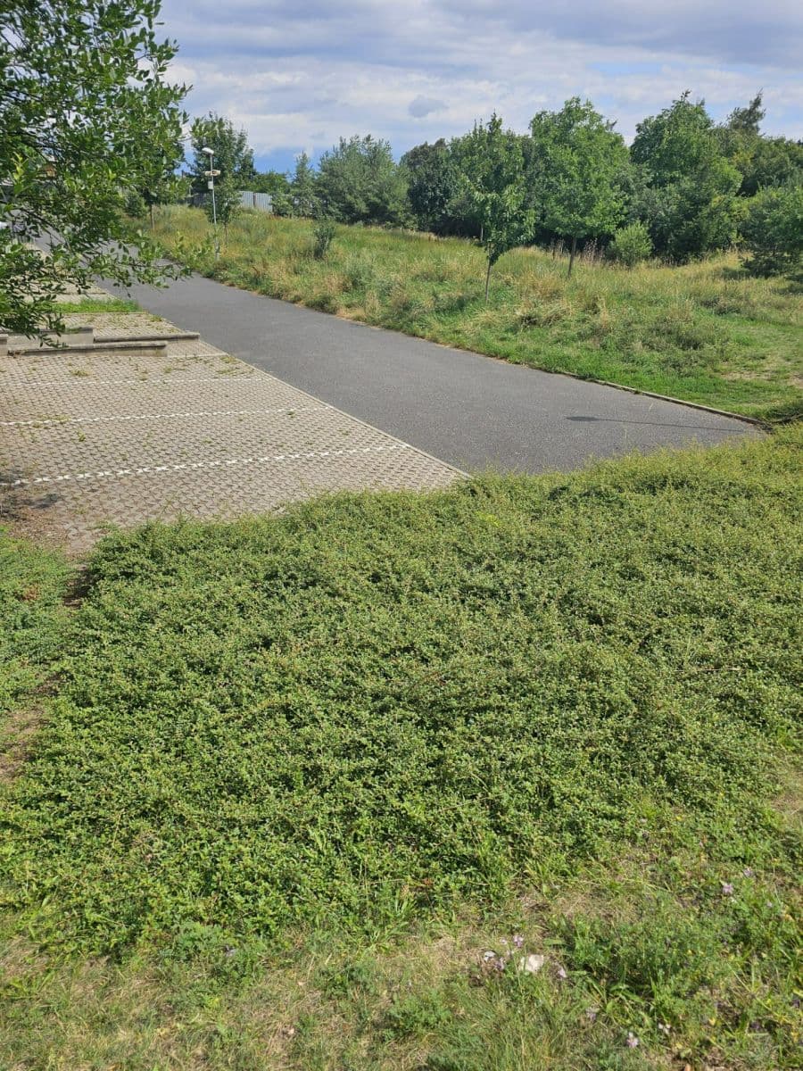 Prodej bytu 3+kk 80 m², Lederova, Roztoky, Středočeský kraj Prodej bytu 3+kk 80 m², Lederova, Roztoky, Středočeský kraj