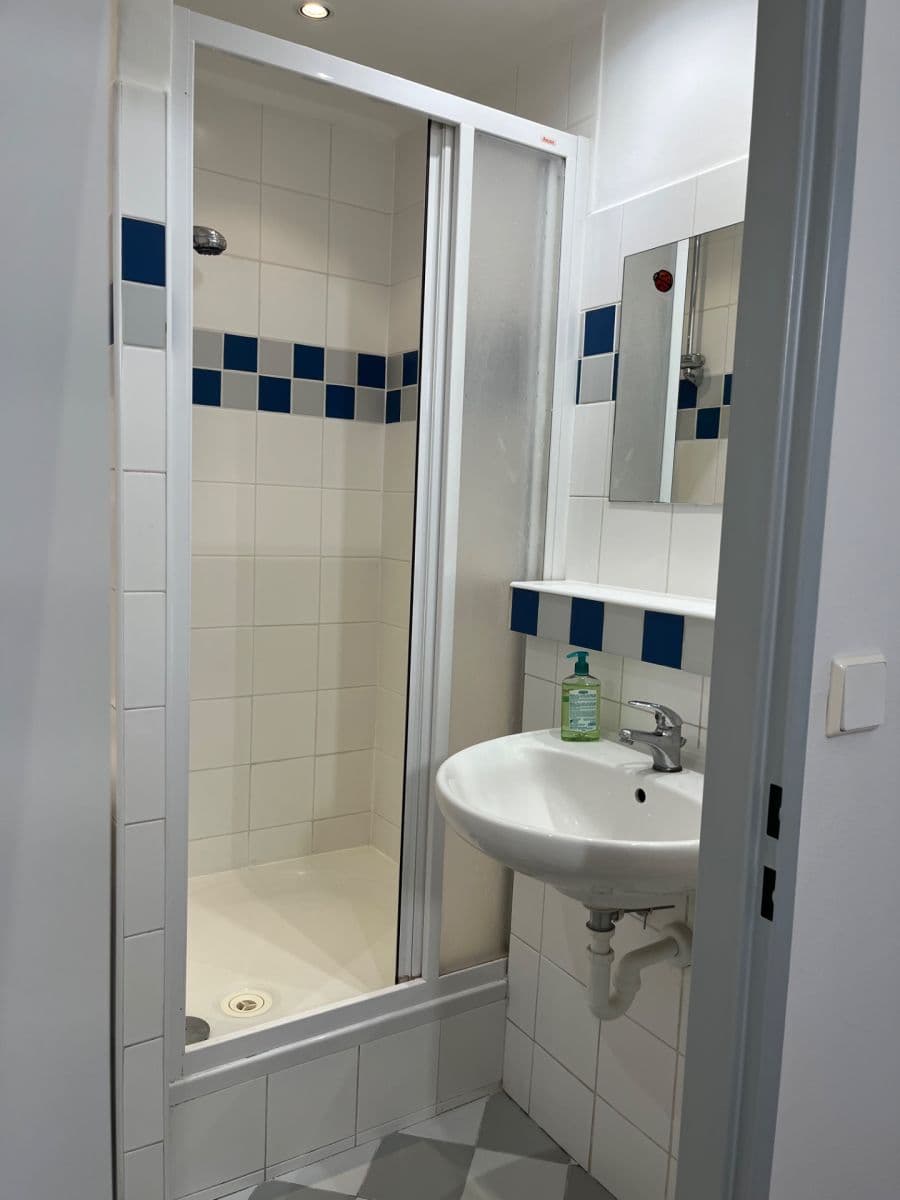 Pronájem bytu 1+kk 29 m², Tesaříkova, Praha, Praha Pronájem bytu 1+kk 29 m², Tesaříkova, Praha, Praha
