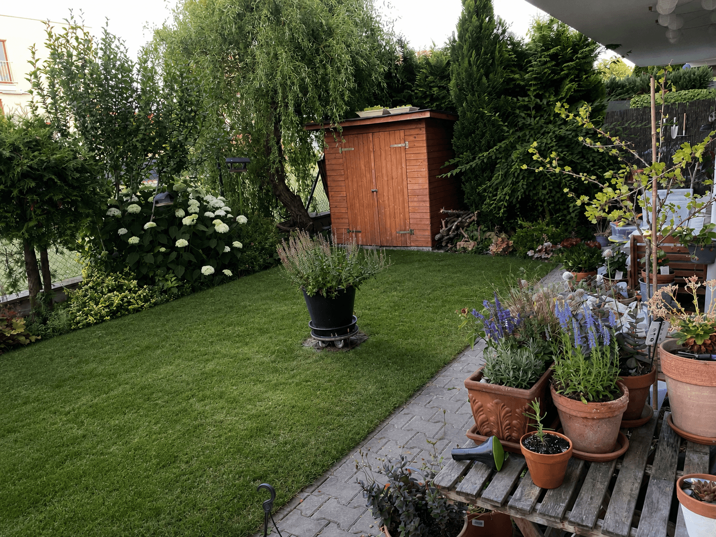 Prodej bytu 3+kk 67 m², Lomená, Zbuzany, Středočeský kraj Prodej bytu 3+kk 67 m², Lomená, Zbuzany, Středočeský kraj