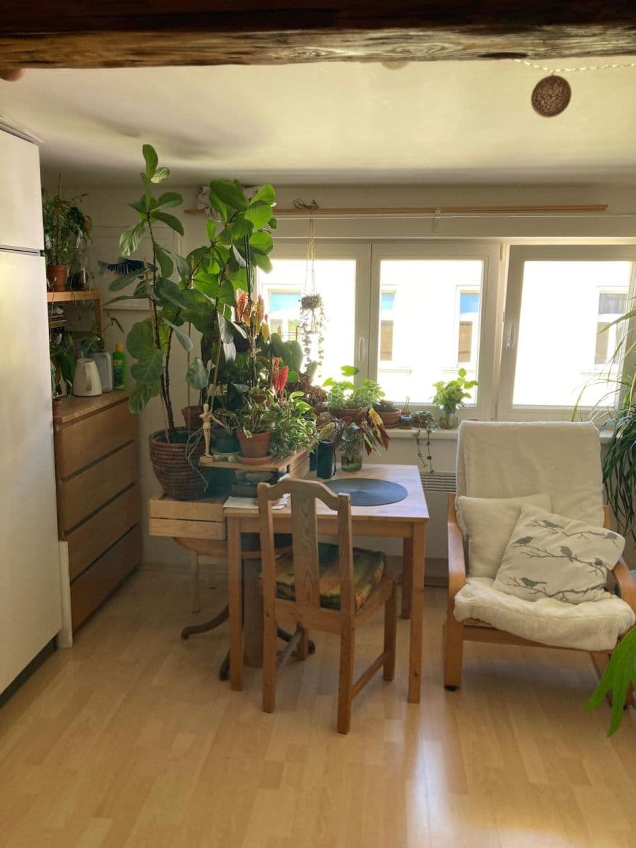 Pronájem bytu 1+kk 20 m², Nad sokolovnou, Praha, Praha Pronájem bytu 1+kk 20 m², Nad sokolovnou, Praha, Praha