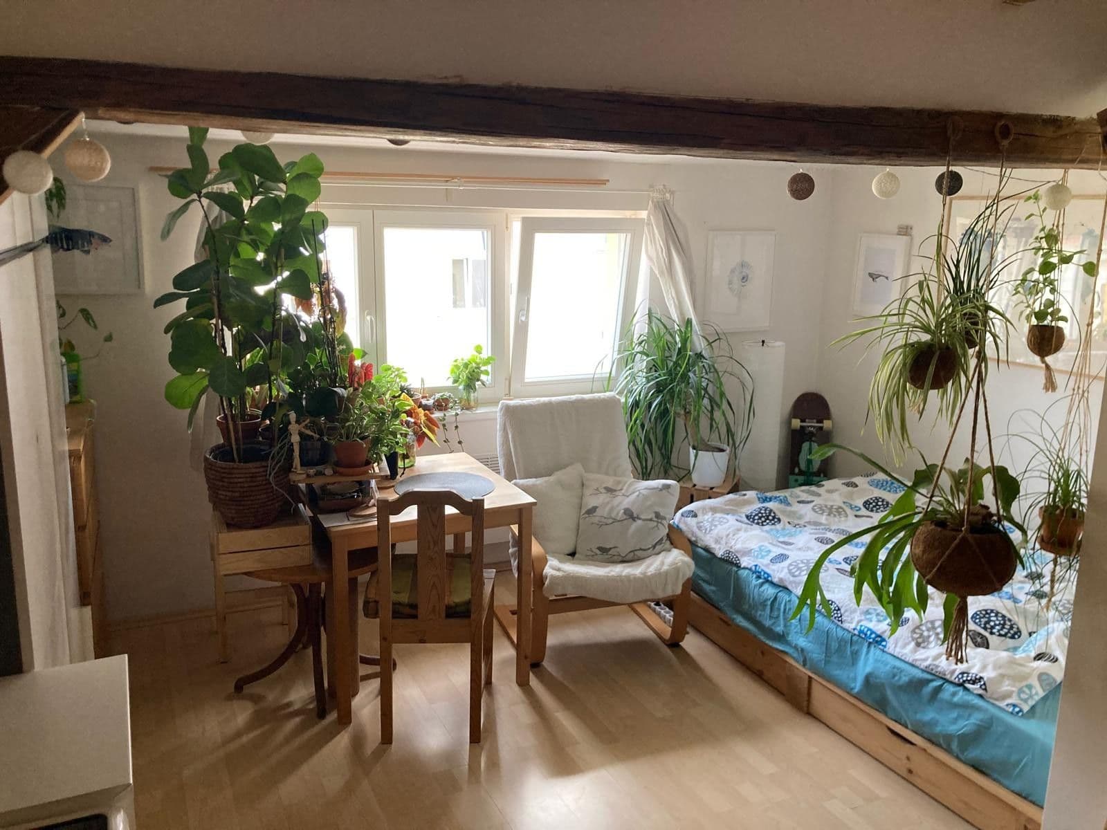 Pronájem bytu 1+kk 20 m², Nad sokolovnou, Praha, Praha Pronájem bytu 1+kk 20 m², Nad sokolovnou, Praha, Praha