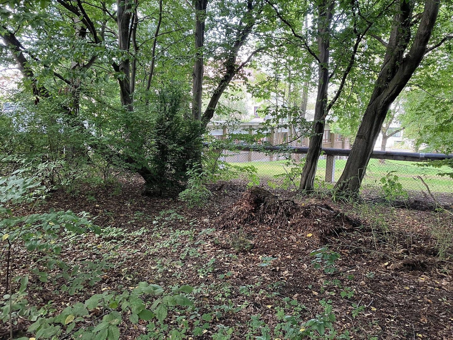 Prodej pozemku 4.870 m², Hainichener Straße, Freiberg, Sasko Prodej pozemku 4.870 m², Hainichener Straße, Freiberg, Sasko