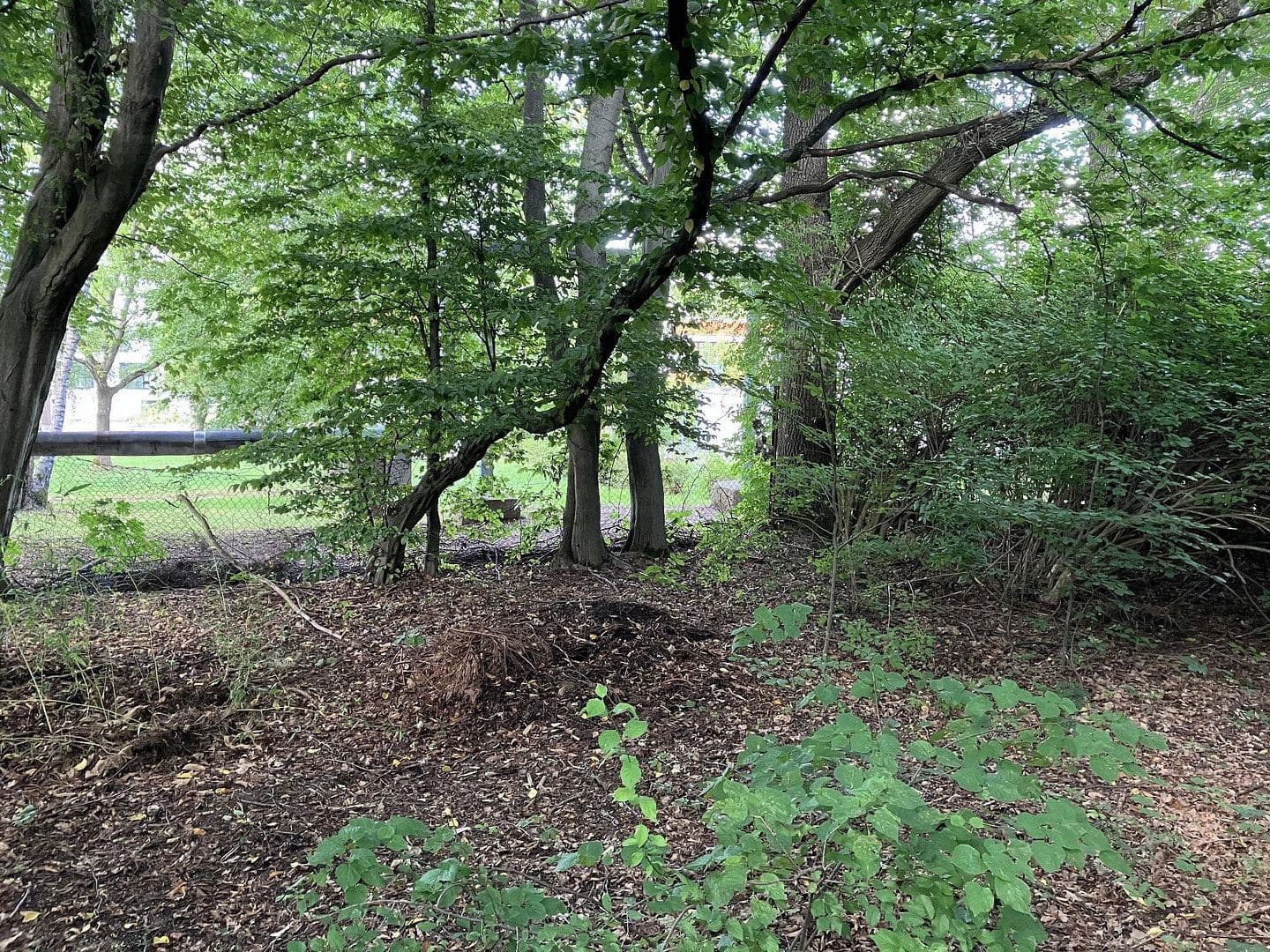 Prodej pozemku 4.870 m², Hainichener Straße, Freiberg, Sasko Prodej pozemku 4.870 m², Hainichener Straße, Freiberg, Sasko