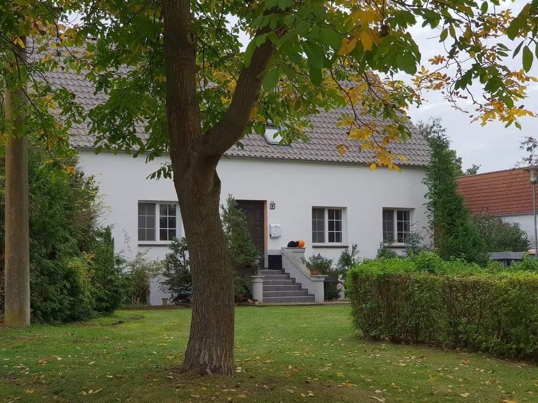 Prodej pozemku 7.566 m², An der Schule, 9, Nauen, Braniborsko Prodej pozemku 7.566 m², An der Schule, 9, Nauen, Braniborsko