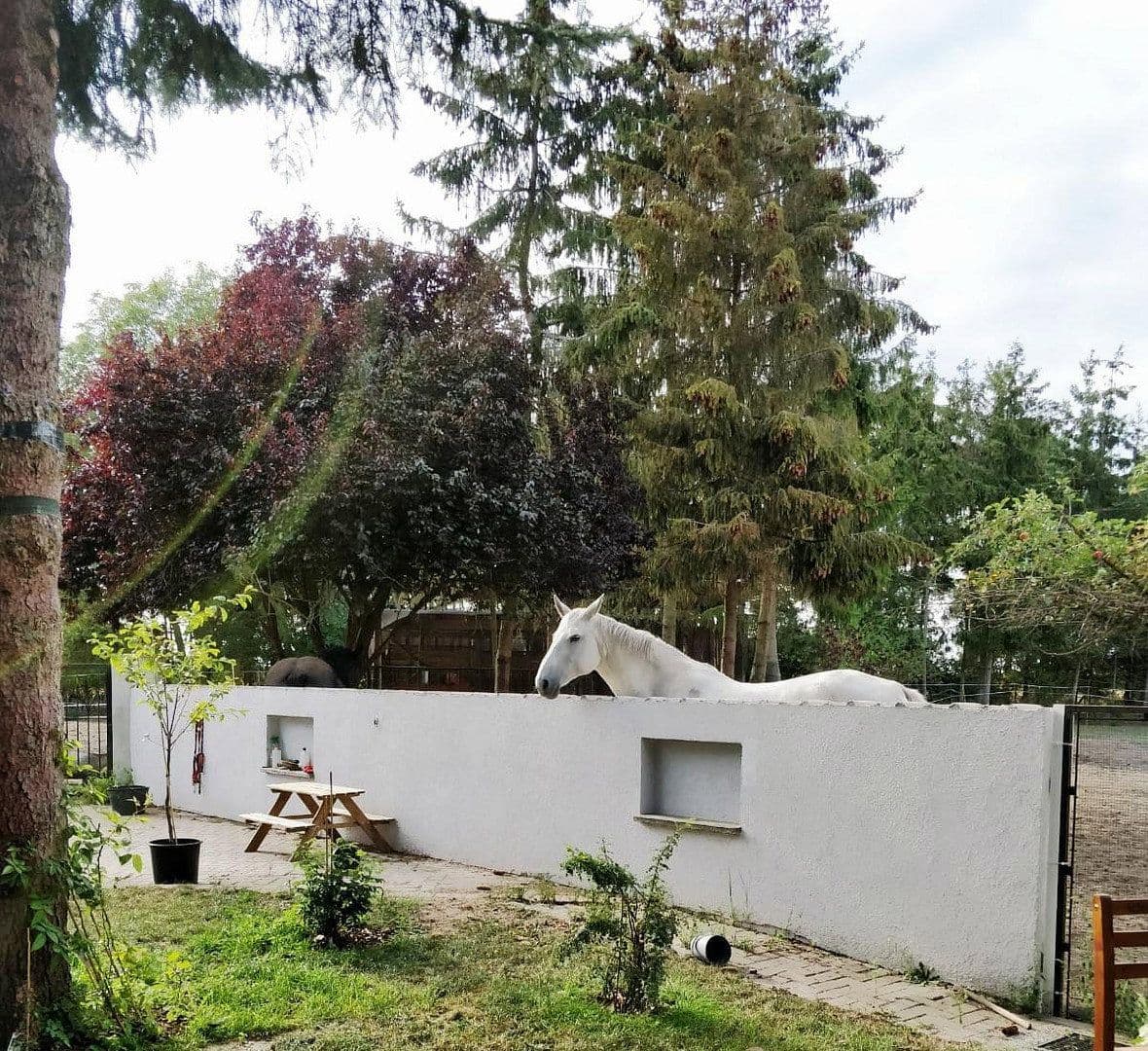 Prodej pozemku 7.566 m², An der Schule, 9, Nauen, Braniborsko Prodej pozemku 7.566 m², An der Schule, 9, Nauen, Braniborsko