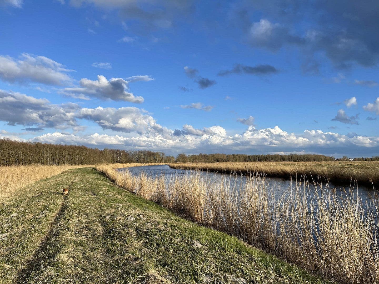 Prodej domu 50 m², pozemek 400 m², Dahme, Šlesvicko-Holštýnsko Prodej domu 50 m², pozemek 400 m², Dahme, Šlesvicko-Holštýnsko