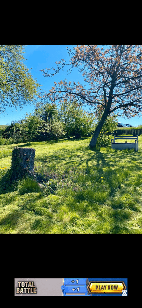 Prodej domu 85 m², pozemek 1.213 m², Grafschaft, Porýní-Falc Prodej domu 85 m², pozemek 1.213 m², Grafschaft, Porýní-Falc