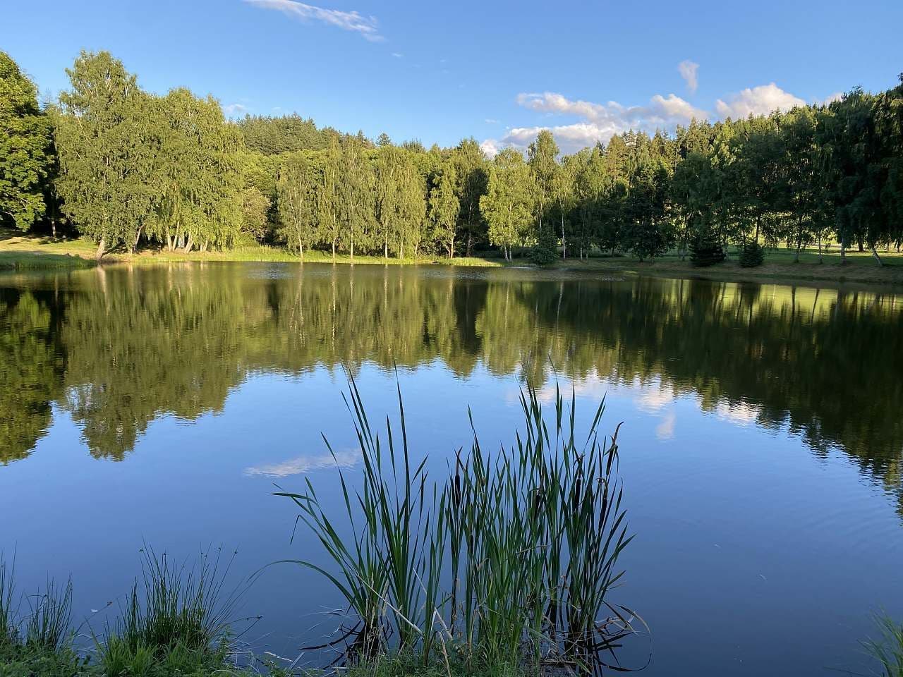 Pronájem chaty, chalupy, Chlistov, Plzeňský kraj Pronájem chaty, chalupy, Chlistov, Plzeňský kraj