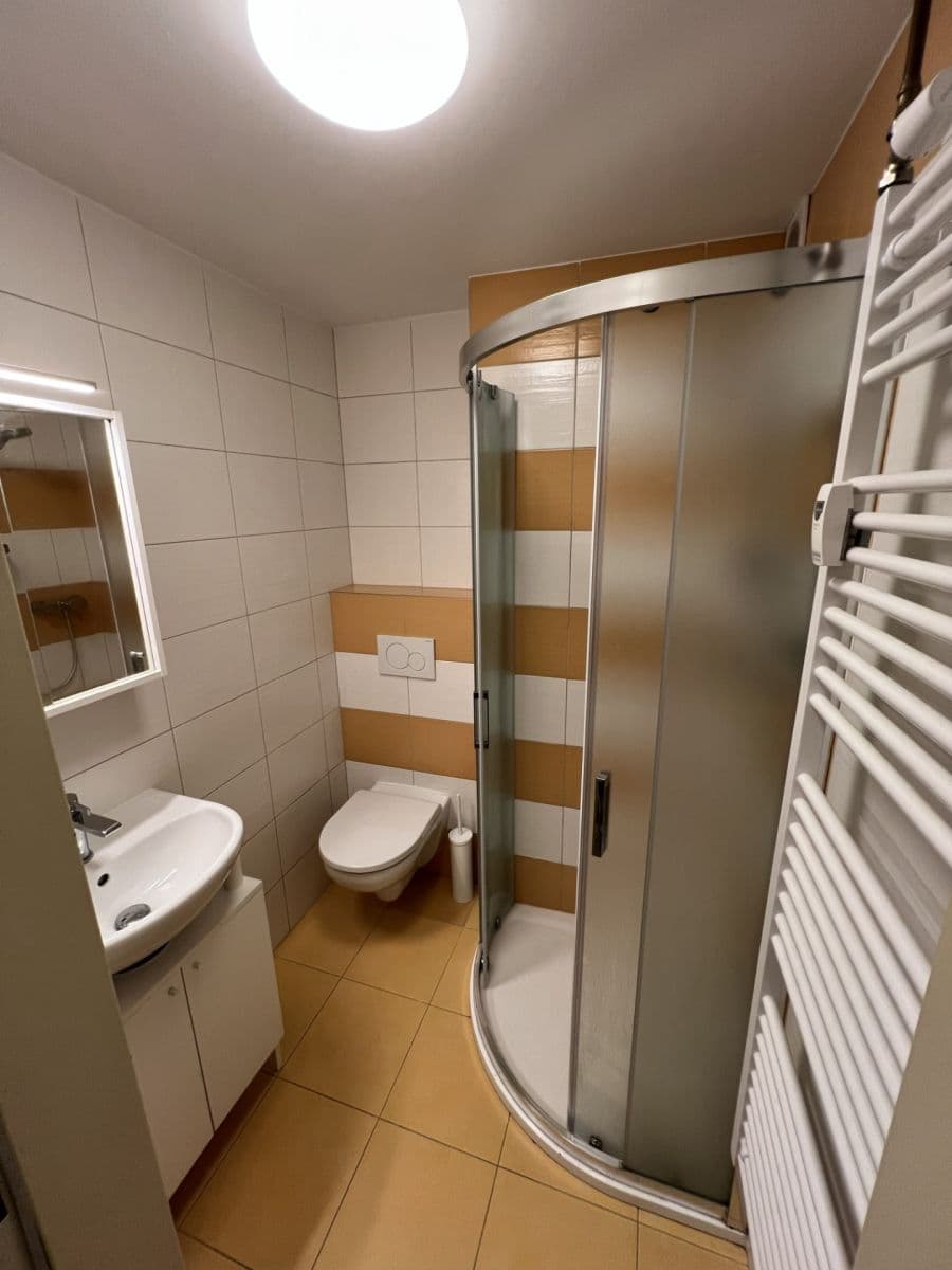 Pronájem bytu 1+1 32 m², Partyzánská, Plzeň, Plzeňský kraj Pronájem bytu 1+1 32 m², Partyzánská, Plzeň, Plzeňský kraj