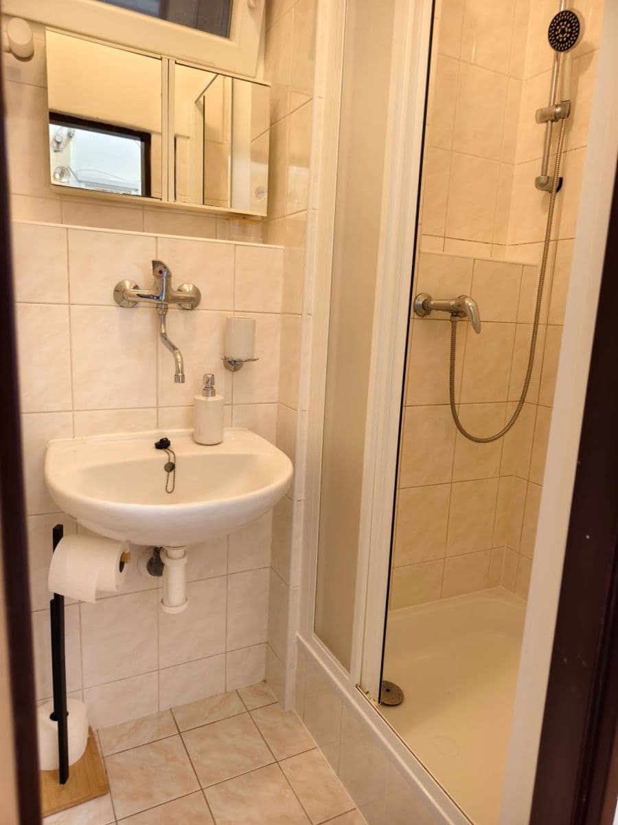 Pronájem bytu 2+1 40 m², Na Úlehli, Praha, Praha Pronájem bytu 2+1 40 m², Na Úlehli, Praha, Praha