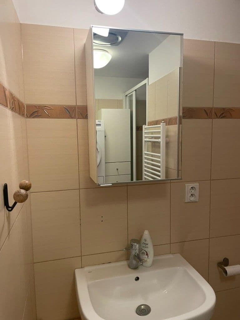 Pronájem bytu 1+1 40 m², Pod Stupni, Praha, Praha Pronájem bytu 1+1 40 m², Pod Stupni, Praha, Praha