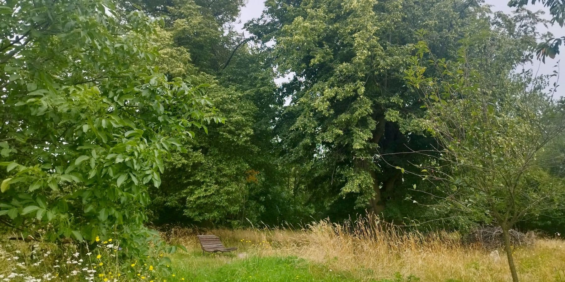 Prodej domu 200 m², pozemek 1.490 m², Staré Heřminovy, Moravskoslezský kraj Prodej domu 200 m², pozemek 1.490 m², Staré Heřminovy, Moravskoslezský kraj