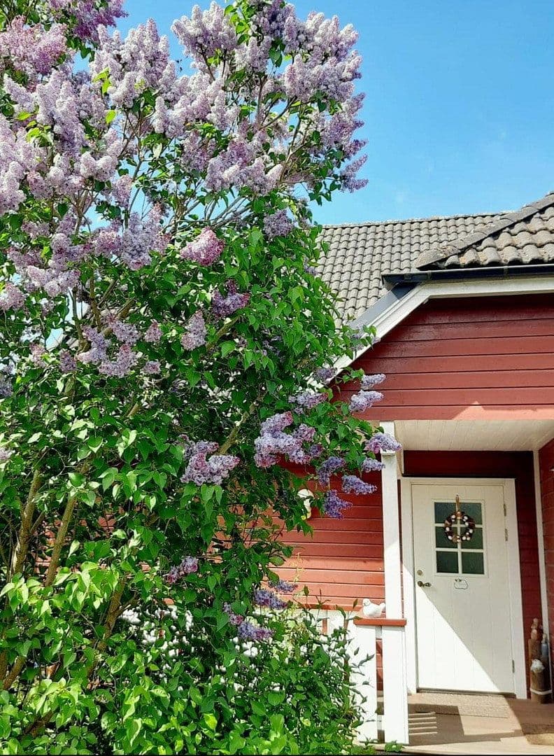 Prodej domu 121 m², pozemek 406 m², Marlow, Mecklenburg-Vorpommern Prodej domu 121 m², pozemek 406 m², Marlow, Mecklenburg-Vorpommern
