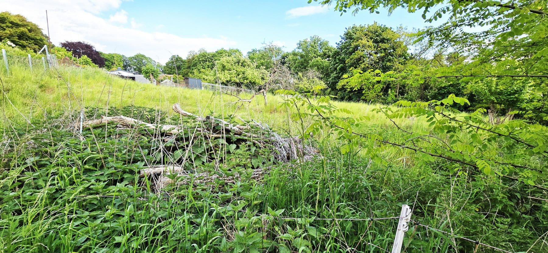 Prodej domu 120 m², pozemek 7.300 m², Radebeul, Sasko Prodej domu 120 m², pozemek 7.300 m², Radebeul, Sasko