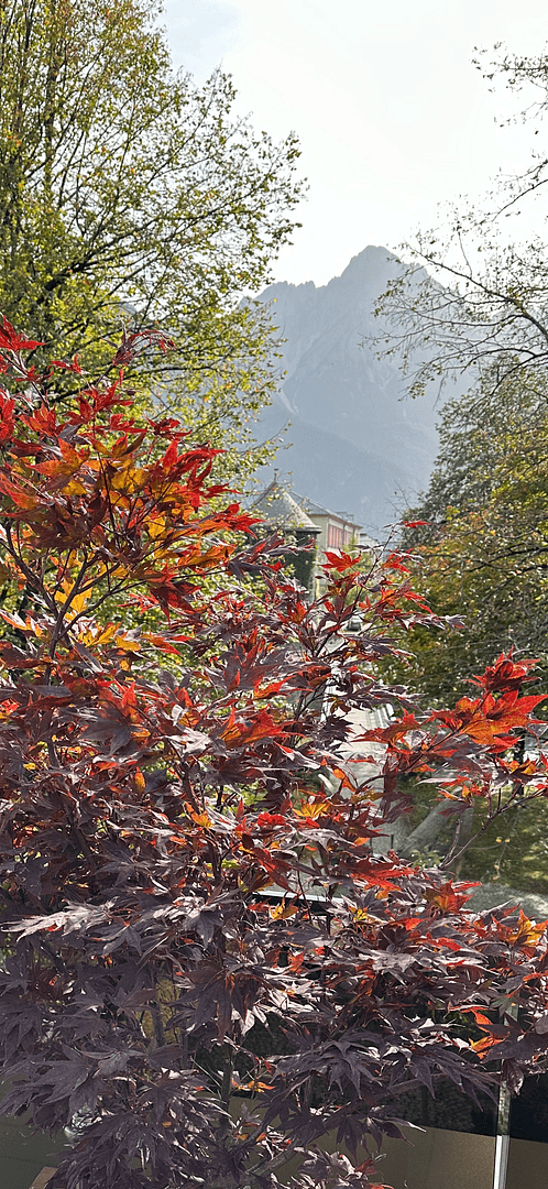 Prodej bytu 3+1 85 m², Lienz, Tyrolsko Prodej bytu 3+1 85 m², Lienz, Tyrolsko