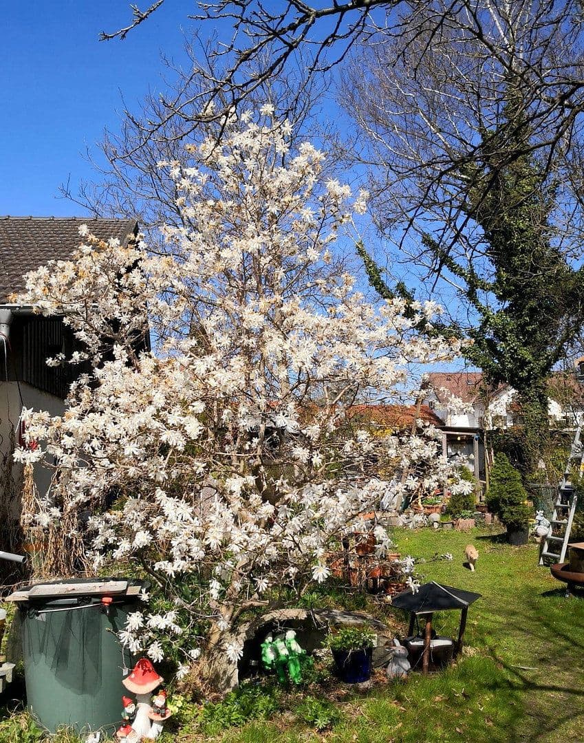 Prodej domu 202 m², pozemek 1.078 m², Huglfing, Bavorsko Prodej domu 202 m², pozemek 1.078 m², Huglfing, Bavorsko
